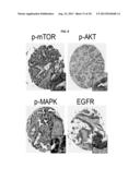 RATIO BASED BIOMARKERS AND METHODS OF USE THEREOF diagram and image