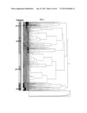 RATIO BASED BIOMARKERS AND METHODS OF USE THEREOF diagram and image