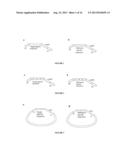 MOLECULAR DIAGNOSTIC SCREENING ASSAY diagram and image