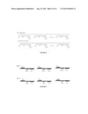 MOLECULAR DIAGNOSTIC SCREENING ASSAY diagram and image