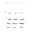 MOLECULAR DIAGNOSTIC SCREENING ASSAY diagram and image