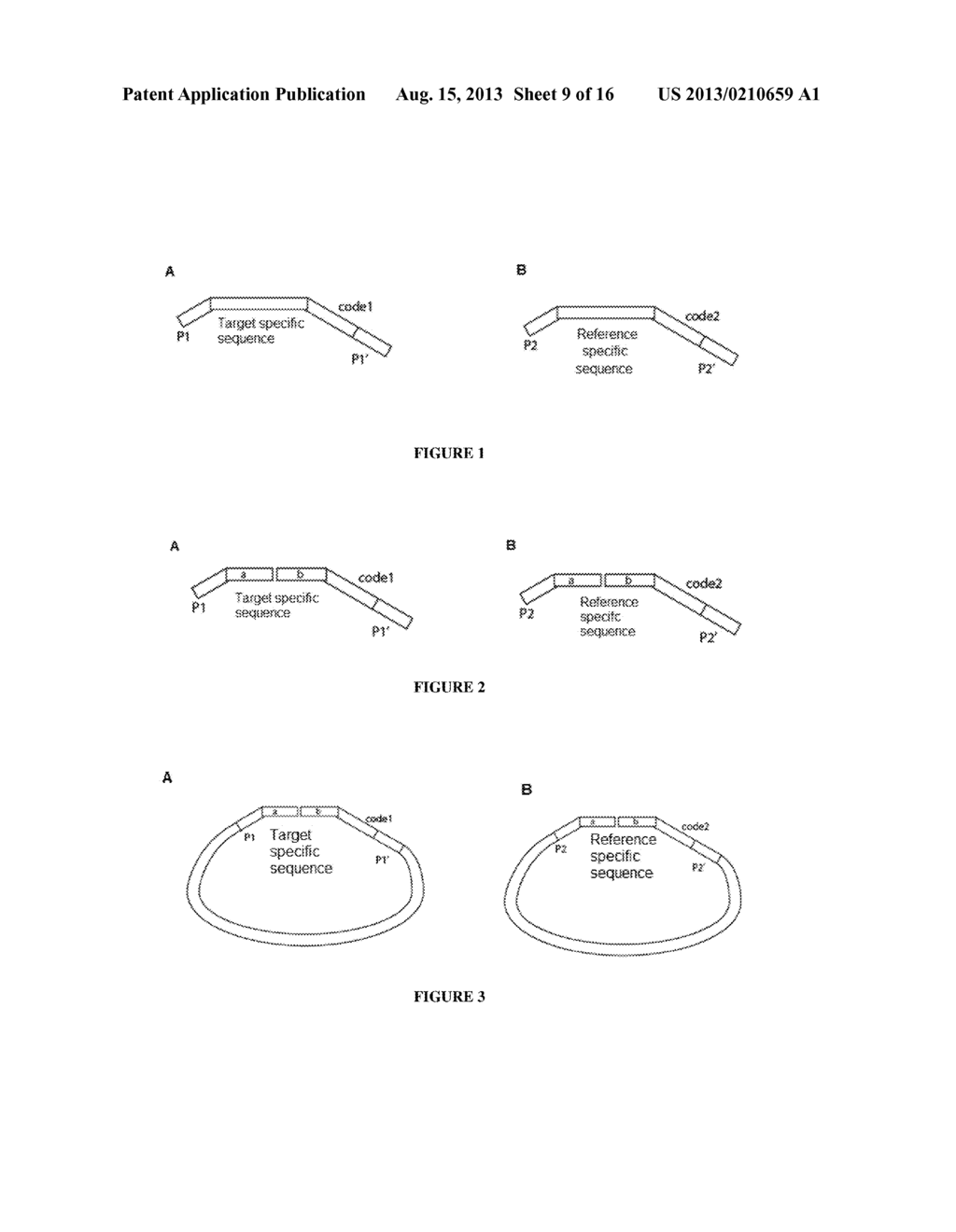 MOLECULAR DIAGNOSTIC SCREENING ASSAY - diagram, schematic, and image 10