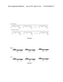 MOLECULAR DIAGNOSTIC SCREENING ASSAY diagram and image