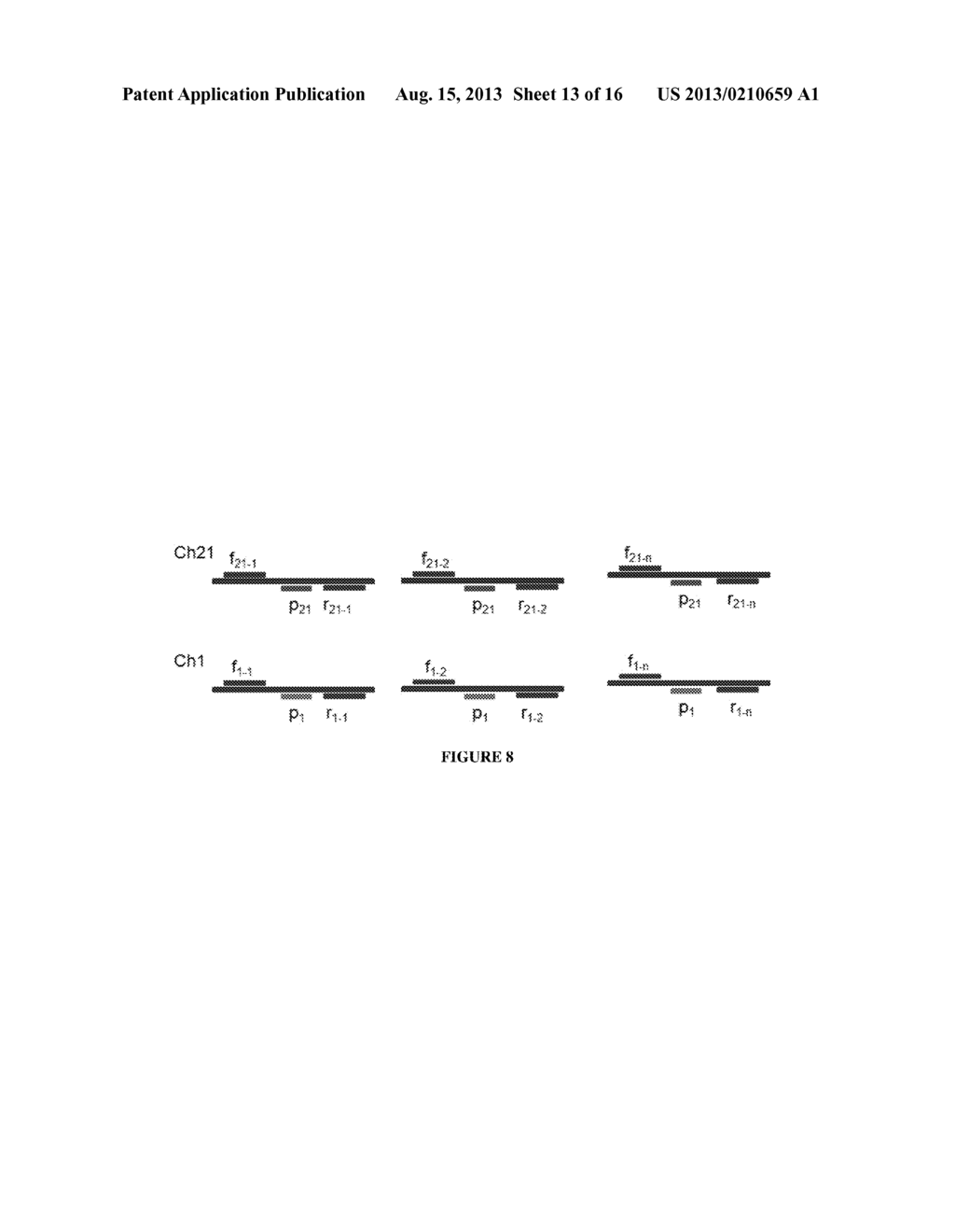 MOLECULAR DIAGNOSTIC SCREENING ASSAY - diagram, schematic, and image 14