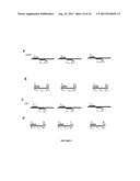 MOLECULAR DIAGNOSTIC SCREENING ASSAY diagram and image