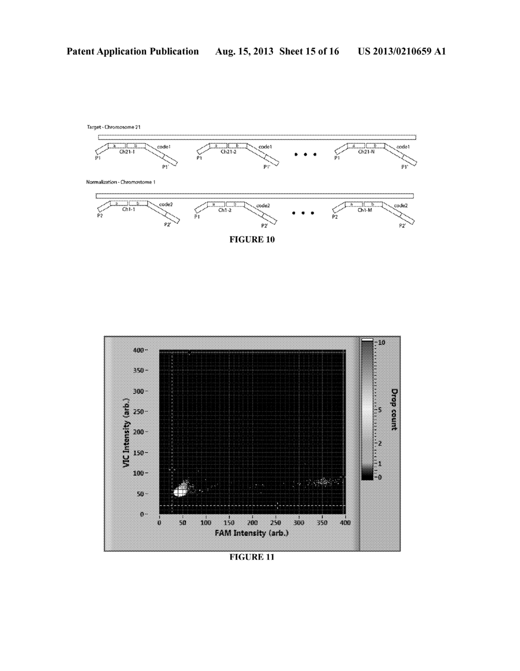 MOLECULAR DIAGNOSTIC SCREENING ASSAY - diagram, schematic, and image 16