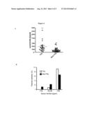 METHOD AND KIT FOR THE DIAGNOSIS AND/OR PROGNOSIS OF TOLERANCE IN LIVER     TRANSPLANTATION diagram and image