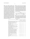 METHOD AND KIT FOR THE DIAGNOSIS AND/OR PROGNOSIS OF TOLERANCE IN LIVER     TRANSPLANTATION diagram and image