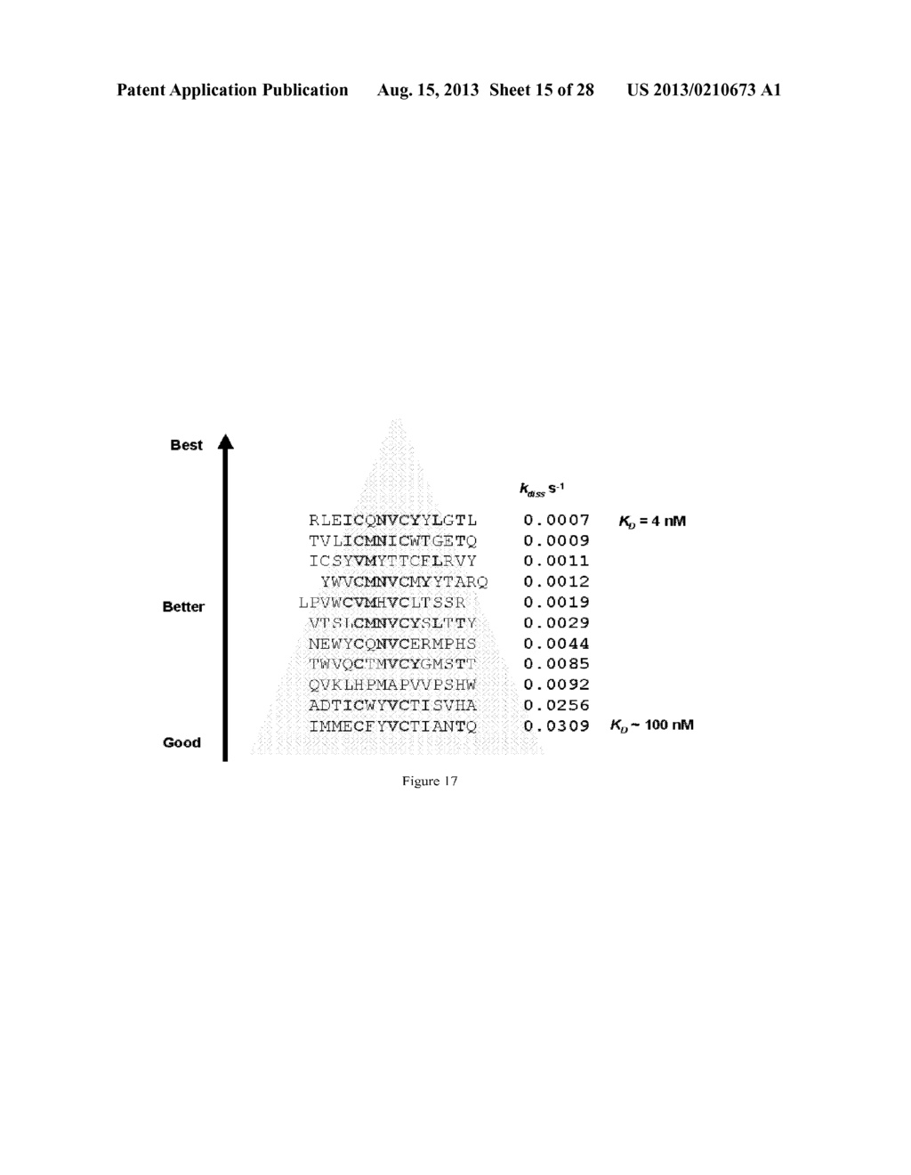 Polypeptide Display Libraries and Methods of Making and Using Thereof - diagram, schematic, and image 16
