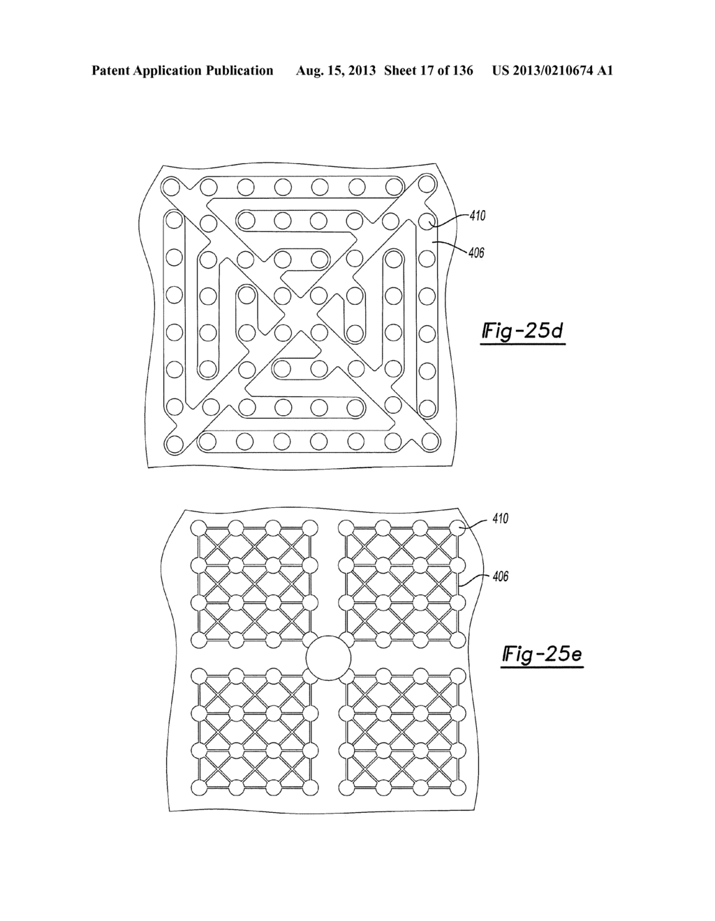 WHOLE GENOME EXPRESSION ANALYSIS SYSTEM - diagram, schematic, and image 18