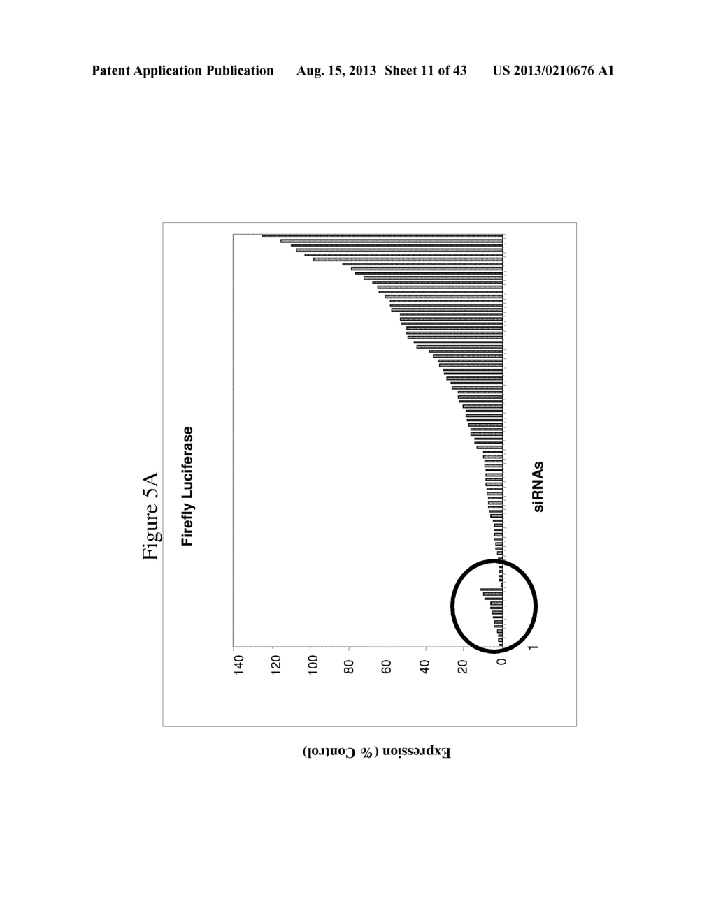 siRNA Targeting Myeloid Differentiation Primary Response Gene (88) (MYD88) - diagram, schematic, and image 12