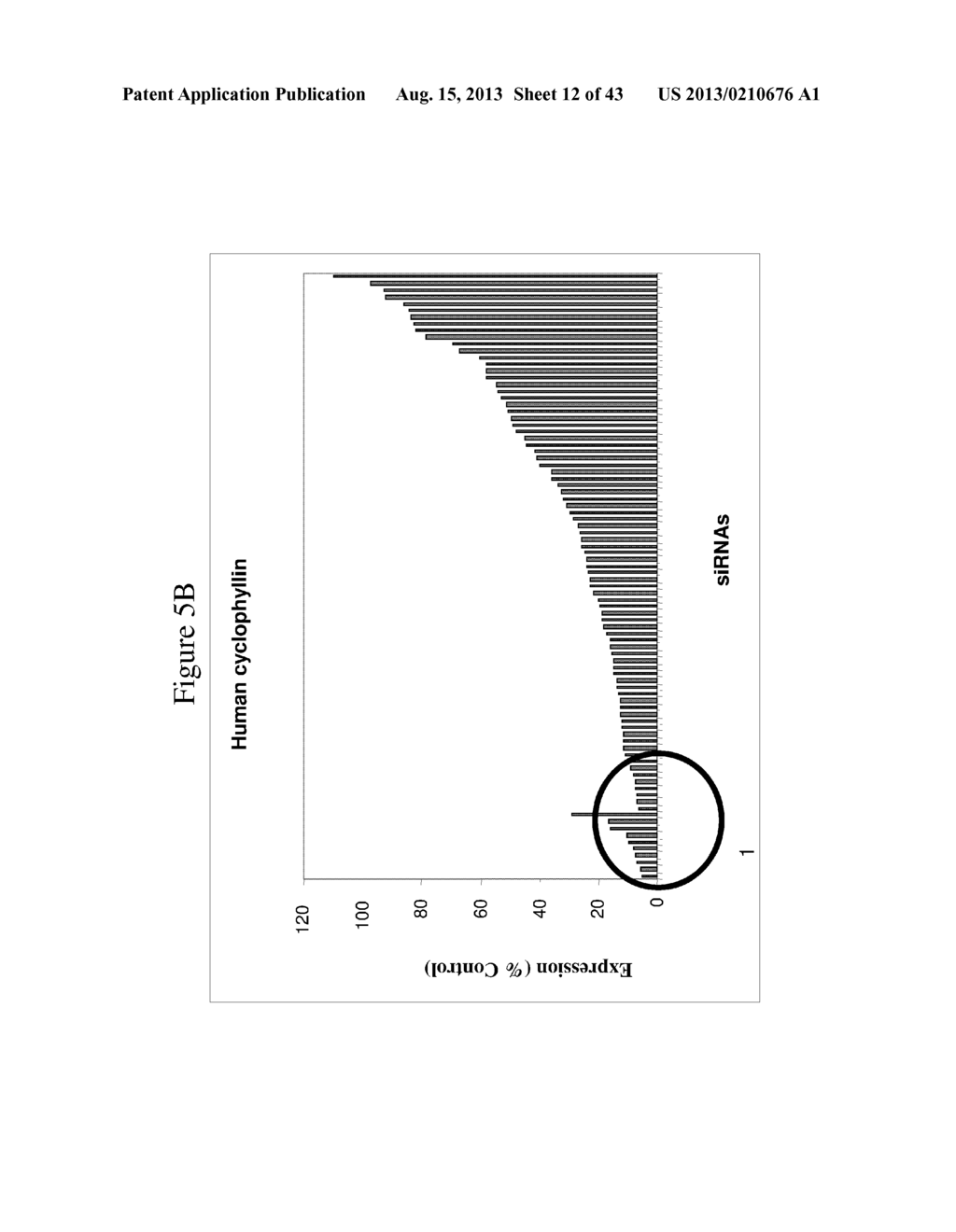 siRNA Targeting Myeloid Differentiation Primary Response Gene (88) (MYD88) - diagram, schematic, and image 13