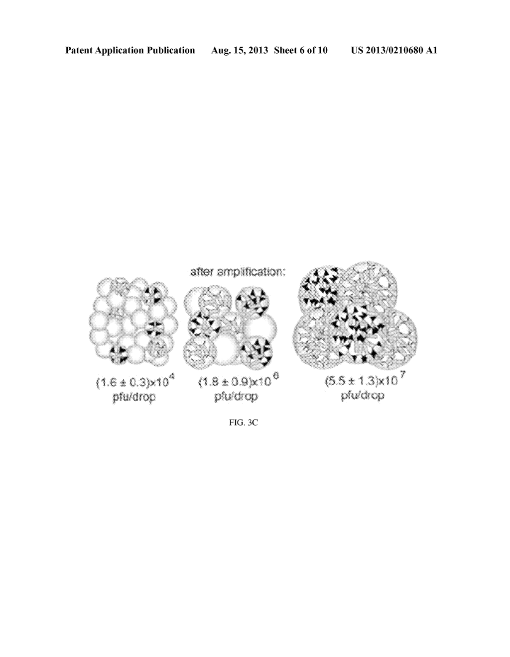 SYSTEMS AND METHODS FOR AMPLIFICATION AND PHAGE DISPLAY - diagram, schematic, and image 07