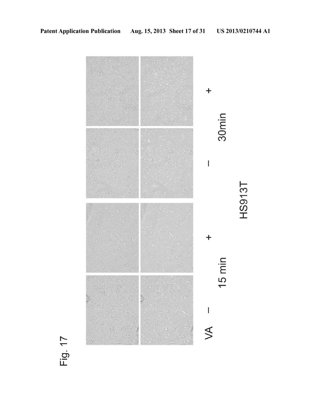 TARGETING AGENT FOR CANCER CELL OR CANCER-ASSOCIATED FIBROBLAST - diagram, schematic, and image 18