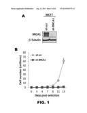 METHOD OF IDENTIFYING TRIPLE NEGATIVE BREAST CANCER diagram and image