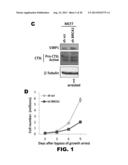 METHOD OF IDENTIFYING TRIPLE NEGATIVE BREAST CANCER diagram and image