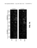 METHOD OF IDENTIFYING TRIPLE NEGATIVE BREAST CANCER diagram and image