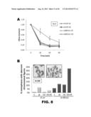 METHOD OF IDENTIFYING TRIPLE NEGATIVE BREAST CANCER diagram and image