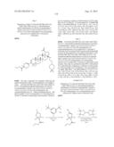 C-3 CYCLOALKENYL TRITERPENOIDS WITH HIV MATURATION INHIBITORY ACTIVITY diagram and image