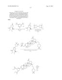 C-3 CYCLOALKENYL TRITERPENOIDS WITH HIV MATURATION INHIBITORY ACTIVITY diagram and image
