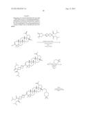 C-3 CYCLOALKENYL TRITERPENOIDS WITH HIV MATURATION INHIBITORY ACTIVITY diagram and image