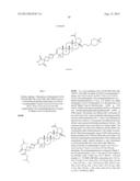 C-3 CYCLOALKENYL TRITERPENOIDS WITH HIV MATURATION INHIBITORY ACTIVITY diagram and image