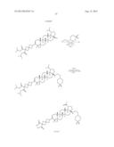 C-3 CYCLOALKENYL TRITERPENOIDS WITH HIV MATURATION INHIBITORY ACTIVITY diagram and image