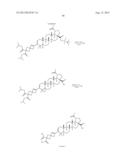 C-3 CYCLOALKENYL TRITERPENOIDS WITH HIV MATURATION INHIBITORY ACTIVITY diagram and image