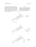 C-3 CYCLOALKENYL TRITERPENOIDS WITH HIV MATURATION INHIBITORY ACTIVITY diagram and image