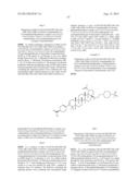 C-3 CYCLOALKENYL TRITERPENOIDS WITH HIV MATURATION INHIBITORY ACTIVITY diagram and image