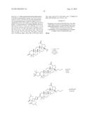 C-3 CYCLOALKENYL TRITERPENOIDS WITH HIV MATURATION INHIBITORY ACTIVITY diagram and image