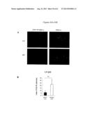 METHODS FOR TREATING PAIN diagram and image