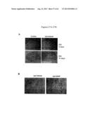 METHODS FOR TREATING PAIN diagram and image