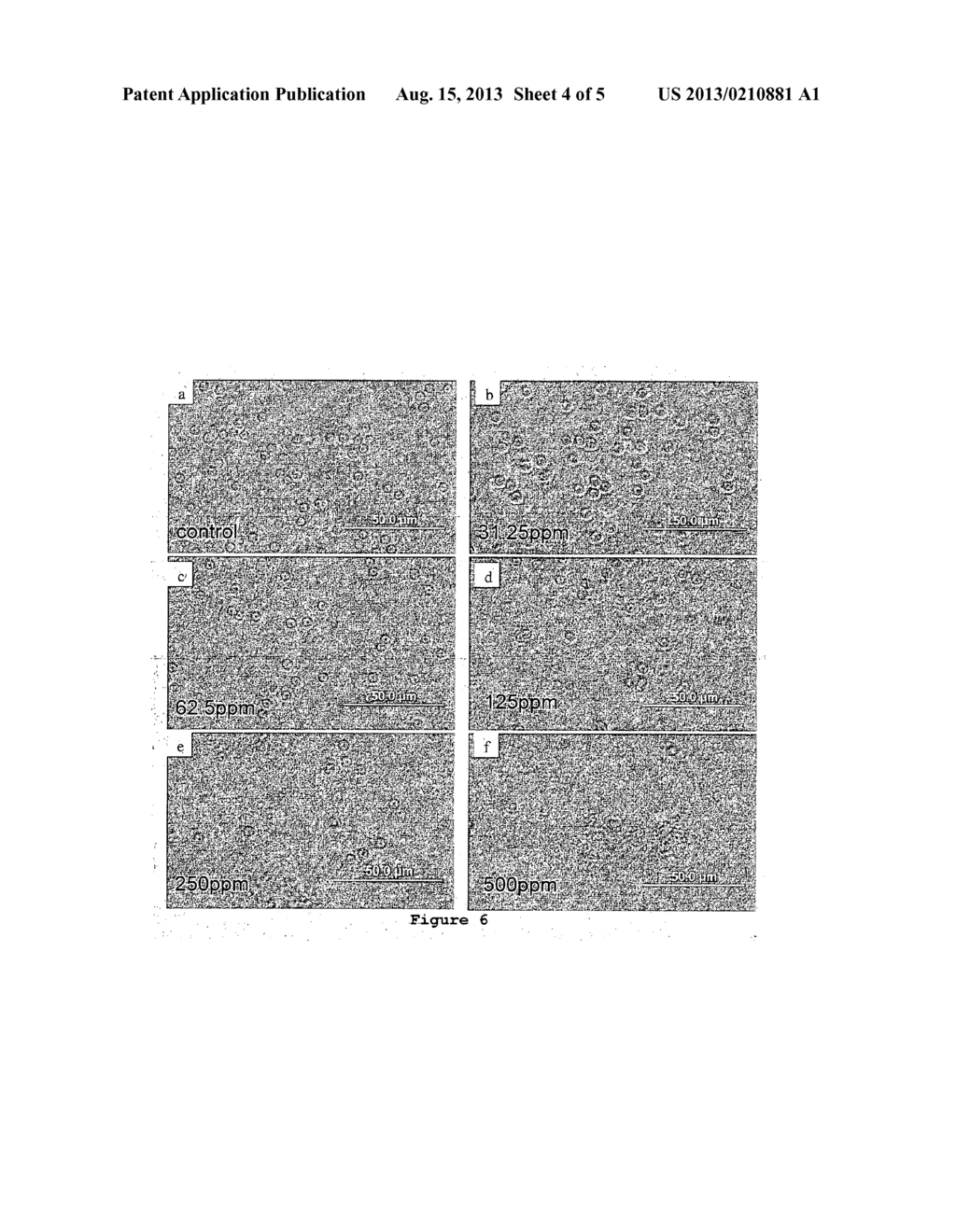 ANTIMICROBIAL COMPOSITION - diagram, schematic, and image 05