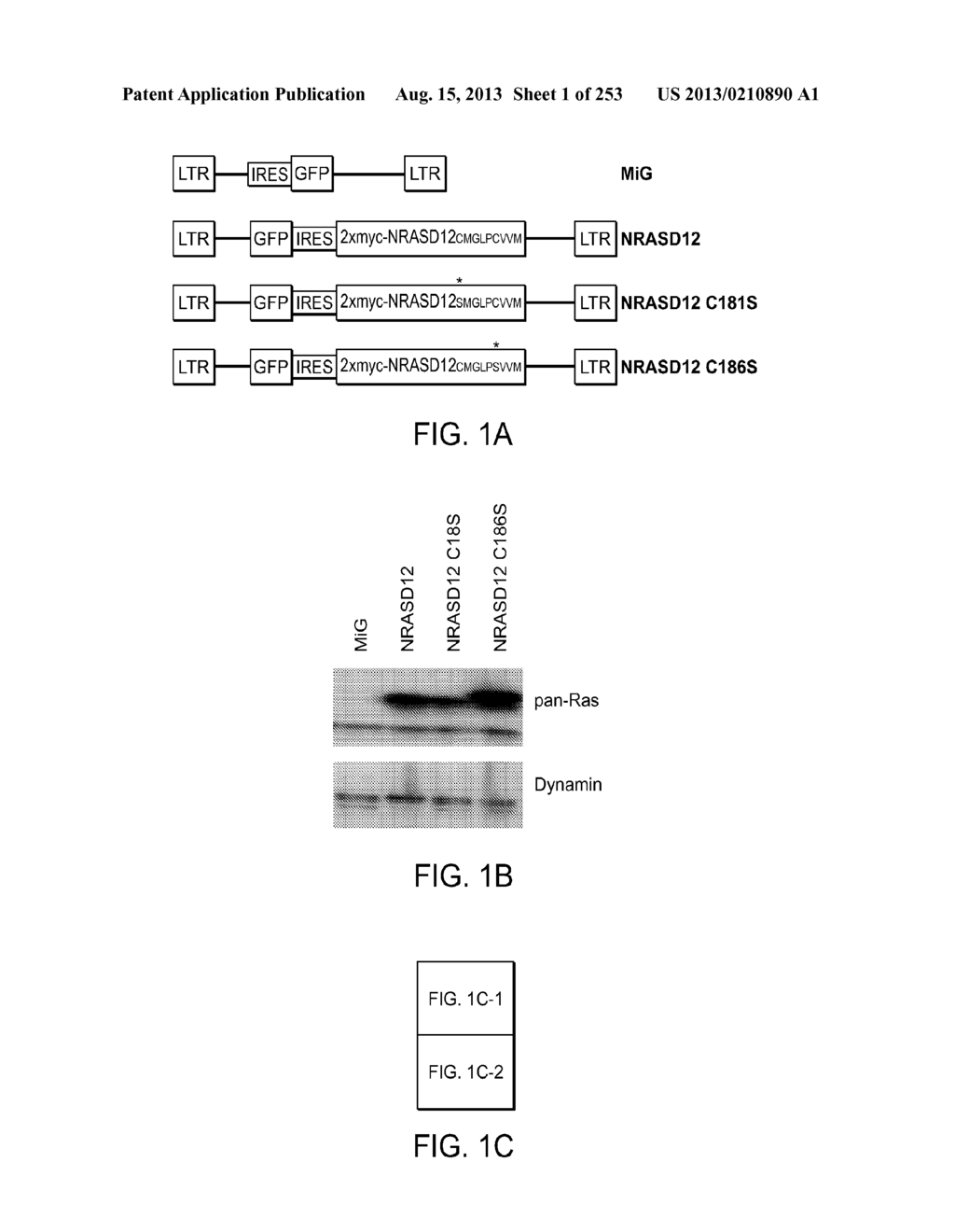 CANCER THERAPY - diagram, schematic, and image 02