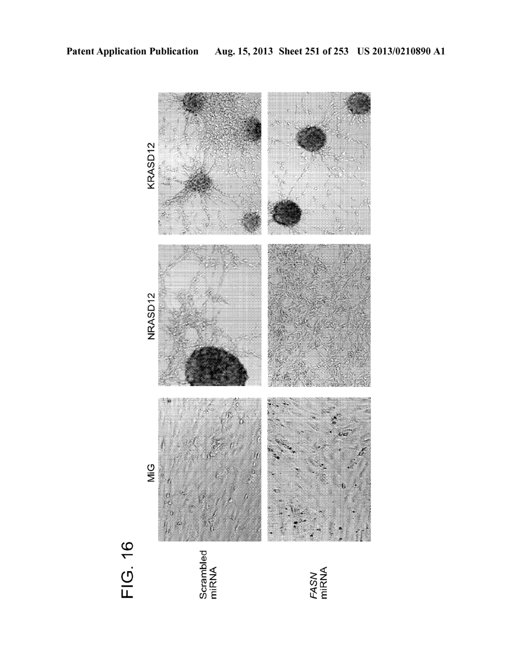 CANCER THERAPY - diagram, schematic, and image 252