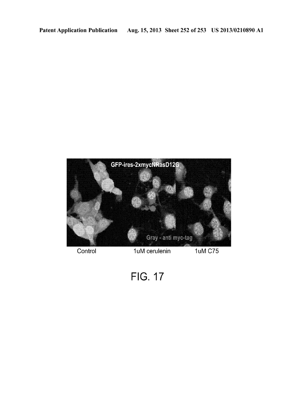 CANCER THERAPY - diagram, schematic, and image 253