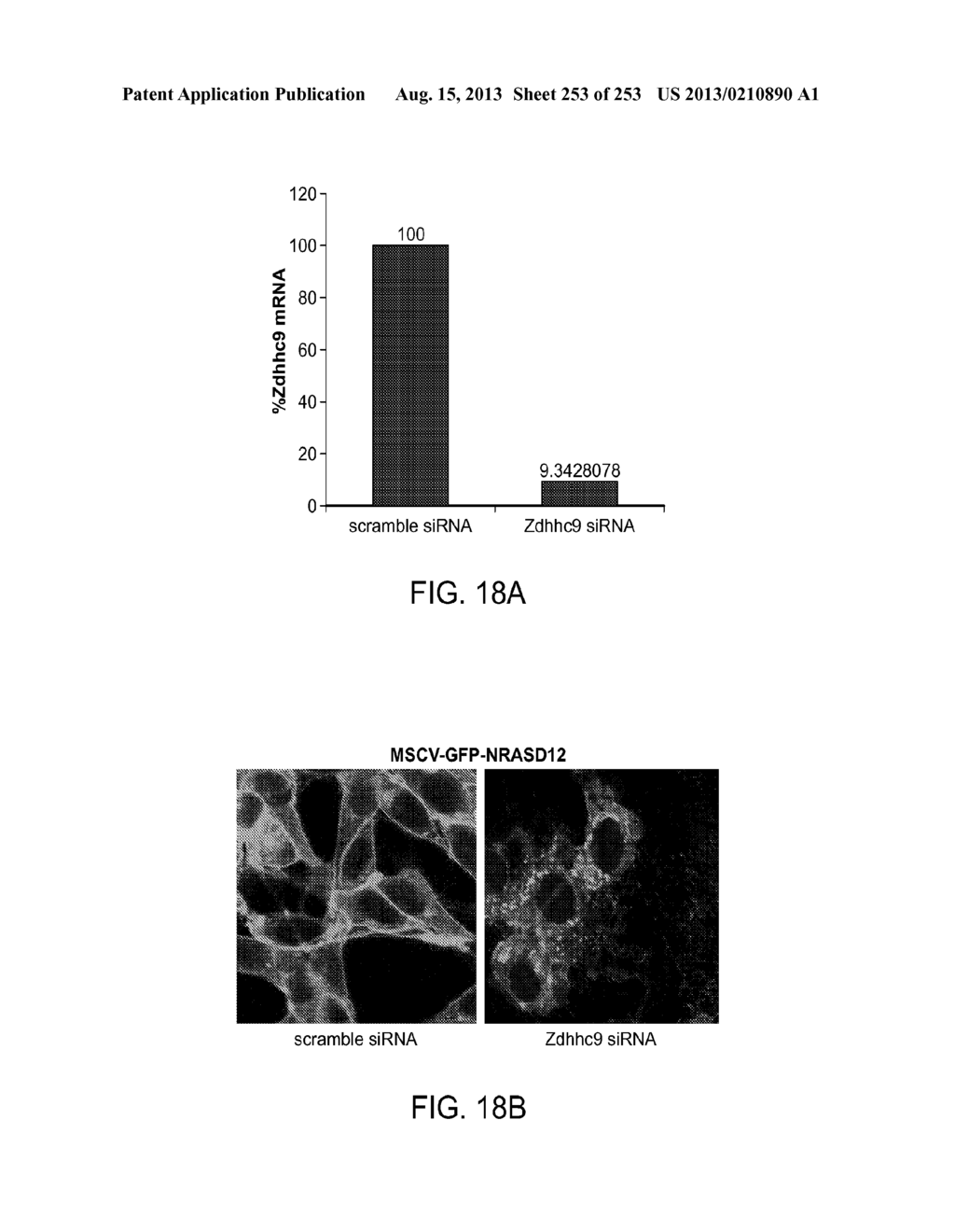 CANCER THERAPY - diagram, schematic, and image 254