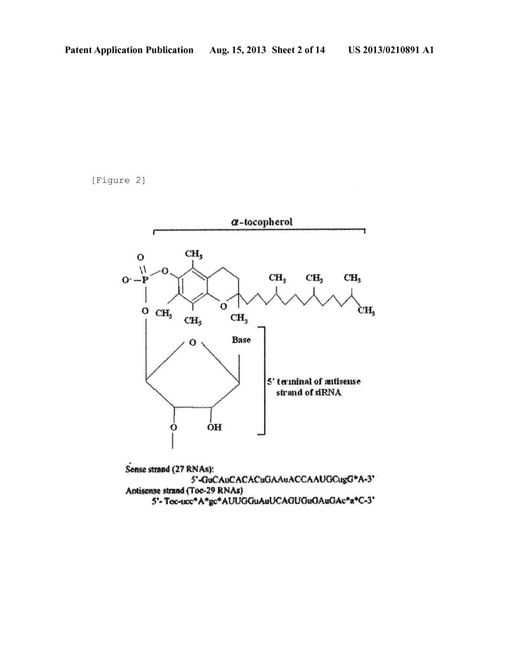 PHARMACEUTICAL COMPOSITION FOR TRANSCOLONIC ABSORPTION - diagram, schematic, and image 03