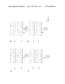 ARID1A and PPP2R1A Mutations in Cancer diagram and image