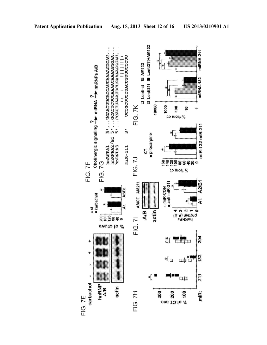 METHOD OF TREATING NEURODEGENERATIVE DISEASES - diagram, schematic, and image 13