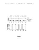 MODIFIED HUMAN U1SNRNA MOLECULE, A GENE ENCODING FOR THE MODIFIED HUMAN     U1SNRNA MOLECULE, AN EXPRESSION VECTOR INCLUDING THE GENE, AND THE USE     THEREOF IN GENE THERAPY diagram and image