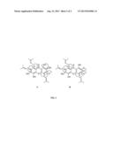 COMPOUNDS, METHODS OF PREPARATION AND USE THEREOF FOR TREATING CANCER diagram and image