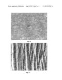 Renewable Polyester Compositions having a Low Density diagram and image