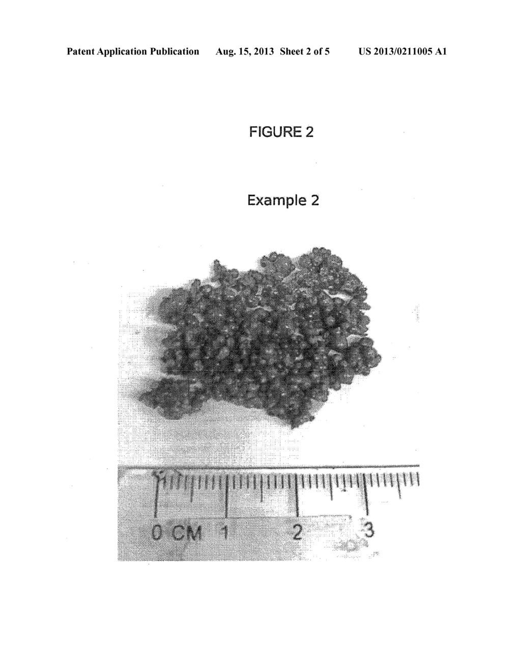 METHODS FOR MAKING POLYMER PARTICULATES IN GEL FORM - diagram, schematic, and image 03