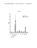 Methods and Compositions for Improved F-18 Labeling of Proteins, Peptides     and Other Molecules diagram and image