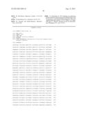 IMMUNOTOXIN FUSION PROTEINS AND MEANS FOR EXPRESSION THEREOF diagram and image