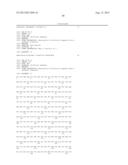 IMMUNOTOXIN FUSION PROTEINS AND MEANS FOR EXPRESSION THEREOF diagram and image