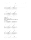 IMMUNOTOXIN FUSION PROTEINS AND MEANS FOR EXPRESSION THEREOF diagram and image