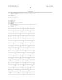 IMMUNOTOXIN FUSION PROTEINS AND MEANS FOR EXPRESSION THEREOF diagram and image